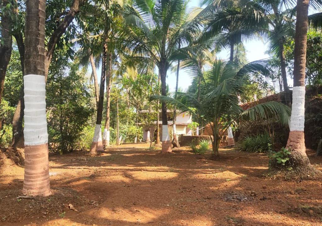 Anjanvel Resort | A Latent Farm stay