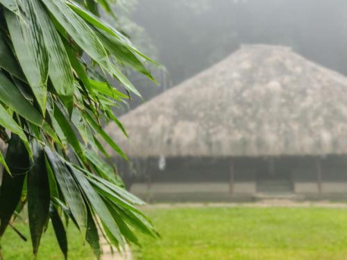 Mananthavady Bed & Breakfast | Bamboo Grove