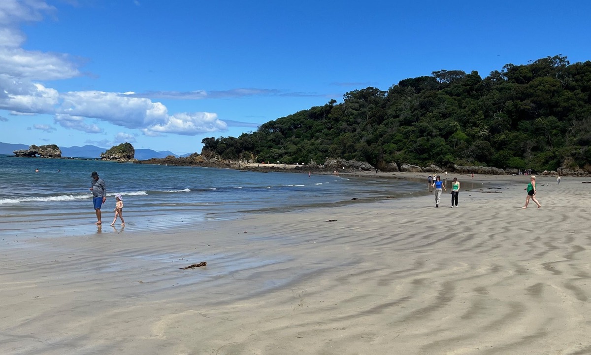 Walkerville House | Bush and beach retreat