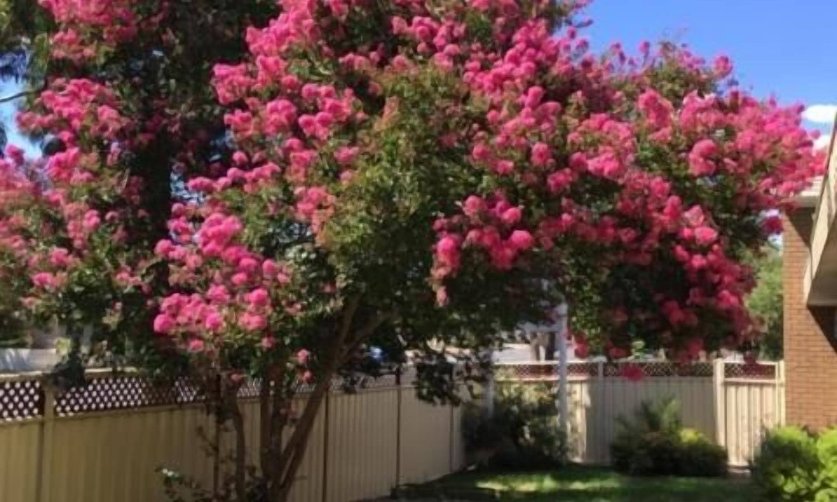 Eaglehawk Hotel | Eaglehawk Motel