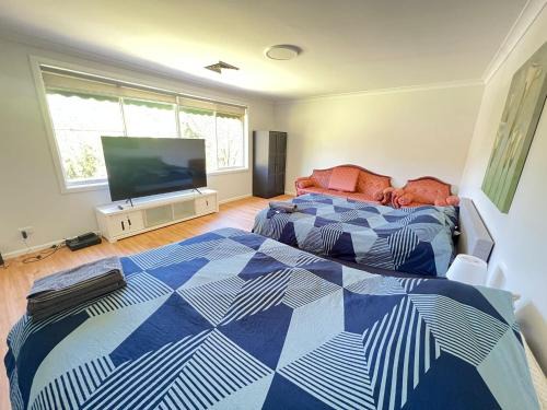 Carlingford House | Family Room in House with Swimming Pool - BP6