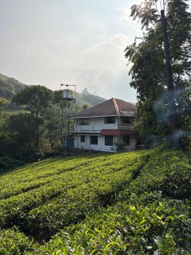 Elappara House | FroZen NeST