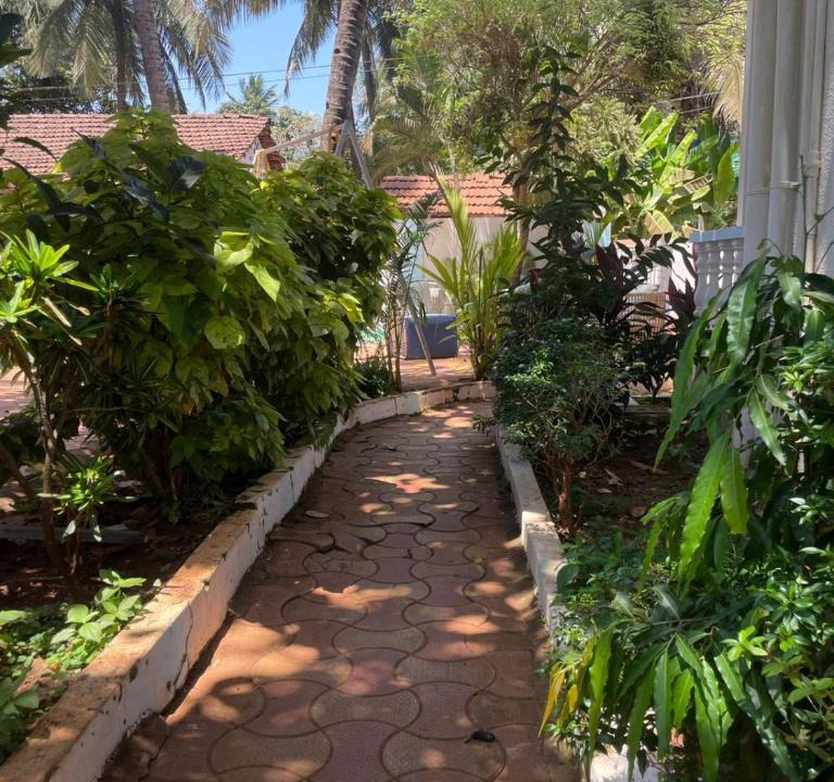 Candolim Apartment | Hotel White Sand Bache Stay