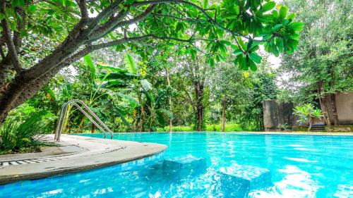 Avarghani Resort | Mahua Vann Pench