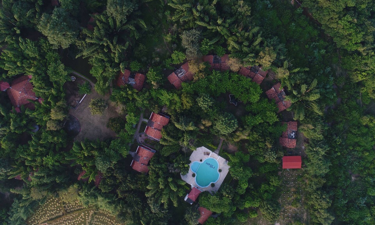 Tala Hotel | Mogli Jungle Resorts Bandhavgarh