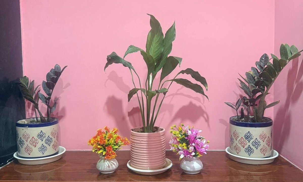 New Town Apartment | Orchid 3BHK 3AC Near Kolkata Airport