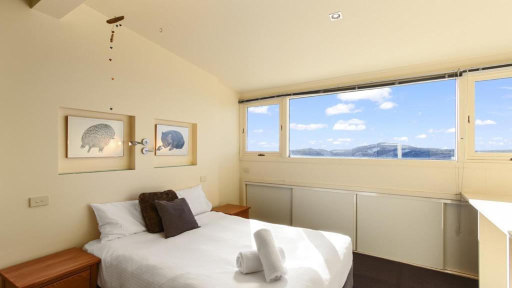 Hotham Heights Apartment | Razorback 5