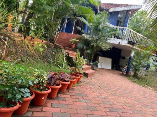 Kozhikode Resort | Sathar Resort