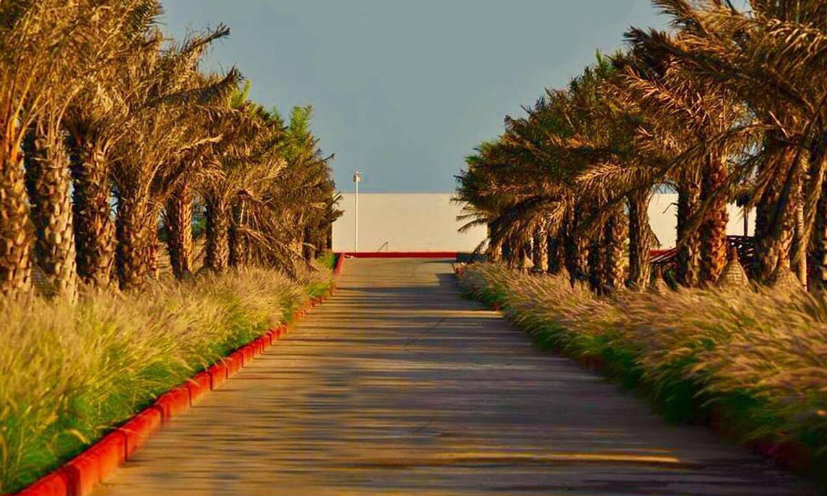 Mandvi Hotel | Serena Beach Resort