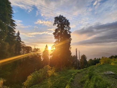 Dalhousie Hotel | Smarthill-Green Forest View