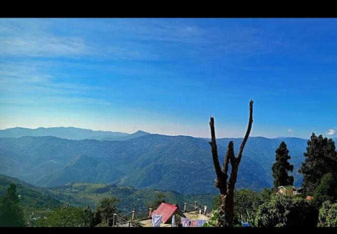 Karsiyang House | Songden homestay