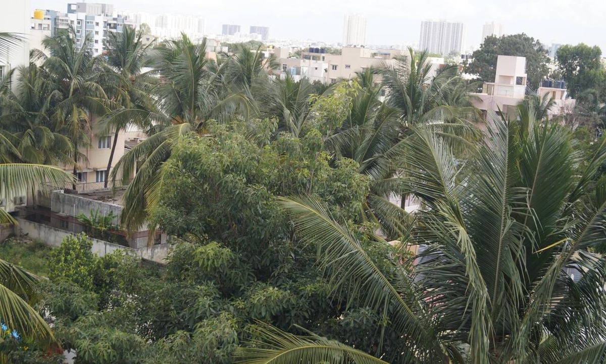 Bilekahalli Hotel | Stayhome classic