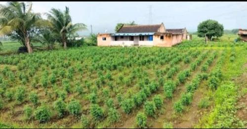 Junnar Other | Tent City Malshej Junnar Agro Tourism & Farm