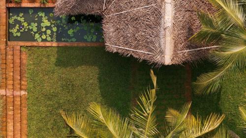 Ponnani Villa | THE HOE - Heaven on Earth
