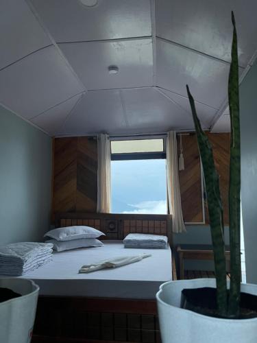 Kumai House | The Peak Paradise