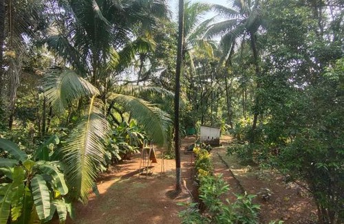Anjanvel Resort | A Latent Farm stay
