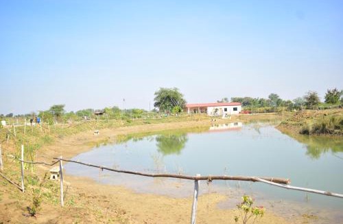 Chimur House | Ajinkya Jungle Farm Stay