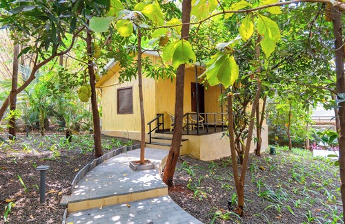 Igatpuri Cottage | Alaya Stays Timber Pet-friendly Cottages