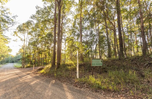 Ringtail Creek Bed & Breakfast | Alaya Verde
