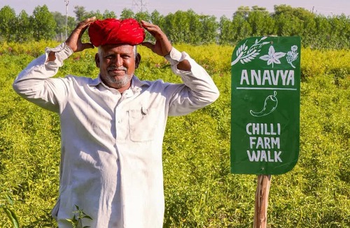 Osian Apartment | Anavya- 3BR Chilli Farm Villa Near Jodhpur Osian