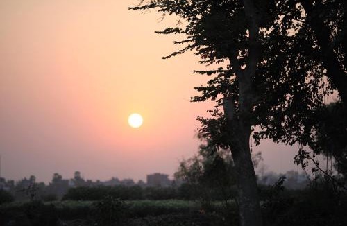 Bodh Gaya House | Ansari House