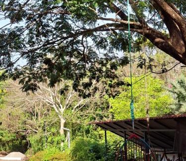 Thrissur Other | APKA ECOvillage
