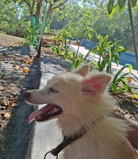 Thrissur Other | APKA ECOvillage