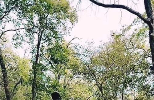 Nainital House | Basani Forest Homes