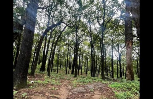 Nainital House | Basani Forest Homes