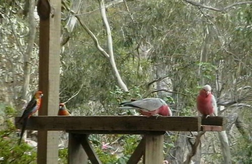 Spring Gully Bed & Breakfast | Beautiful setting, on 100 acres. Sleeps 10 people. Beautiful views.