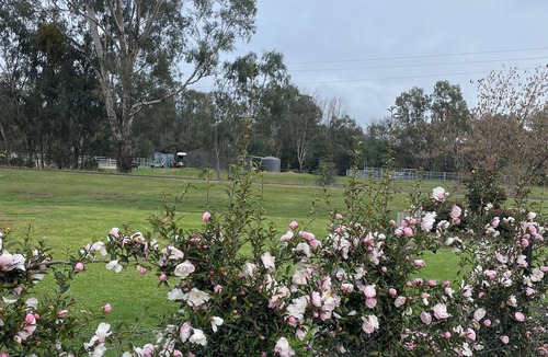 Myrtleford Apartment | Beautiful space with delightful surroundings.scenic country views.