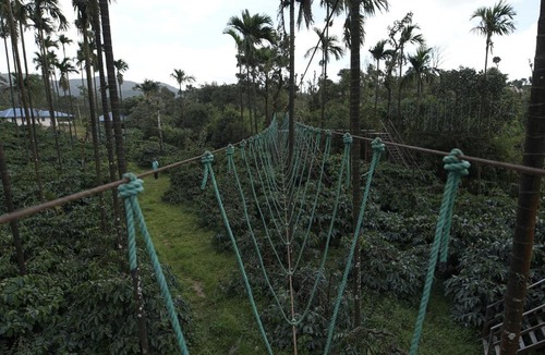 Mudigere Resort | Betta Gudda Retreat