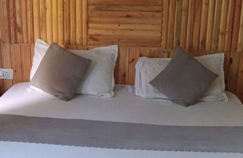 Chitkul Hotel | Buddiez Space Hotel And Restaurant