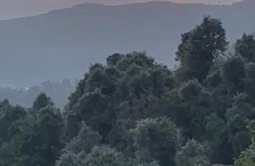 Champawat Villa | BURANS VILLA
