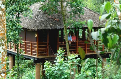Vandanmedu Resort | Carmelia Haven Resort Thekkady