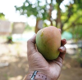 Tarapur House | Chandrachhaya Agro Farms Boisar
