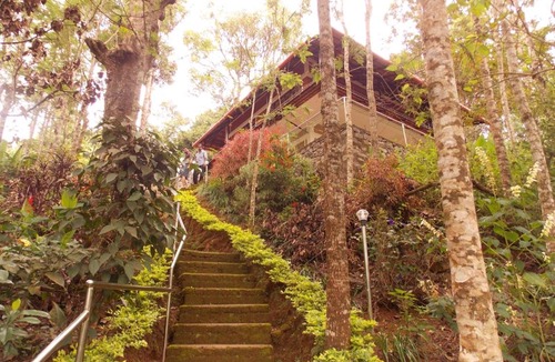 Devikolam Bed & Breakfast | Clouds Land