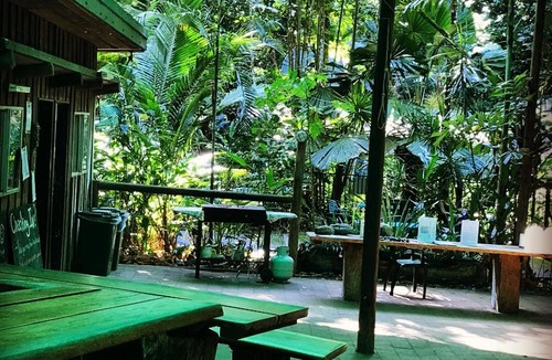 Cow Bay Cabin | Daintree Crocodylus