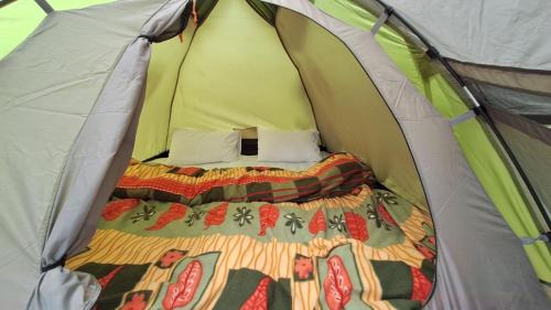 Shimla Other | Delicate camp