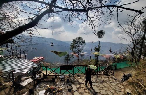 Shimla Other | Delicate Campsite