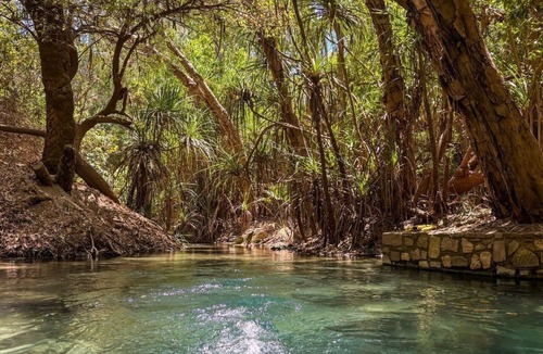 Cossack Other | Discovery Parks - Katherine River