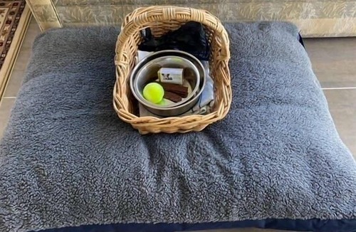 Thirlmere House | Farm Stay at Camellia Cottage pet friendly
