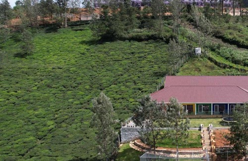 Kotagiri Hotel | GM Mountain View Resort - Akshaya