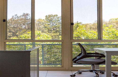 Woolloomooloo Apartment | Green Views & Great Location: Inner-City 1-Bed