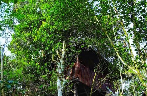 Kalloor Villa | Greens Tree House & Wood House