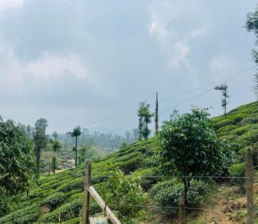 Valparai Hotel | Horizon Vista