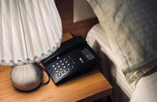 Udaipur Hotel | hotel blue ocean by Elite group of hotel