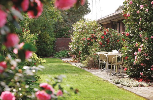 Mount Waverley Hotel | Hotel Bruce County