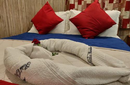 Tiruvannamalai Hotel | Hotel nala residency