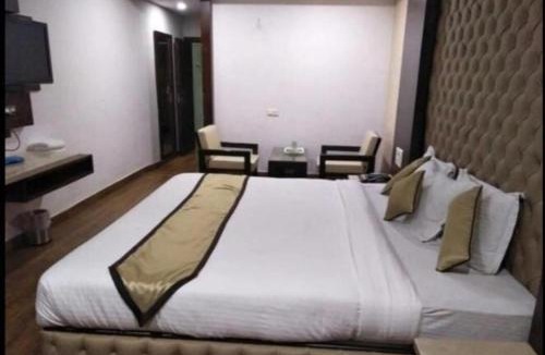 Raipur Hotel | hotel puneet international